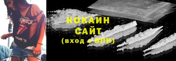 шишки Аркадак