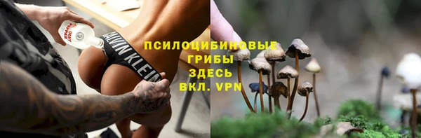 шишки Аркадак