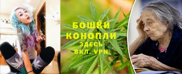 шишки Аркадак