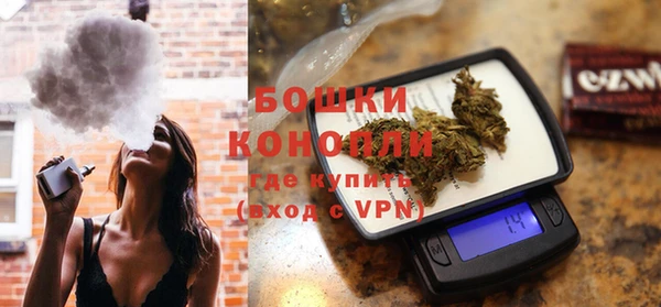 шишки Аркадак